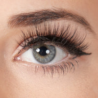 NY magnetic lashes